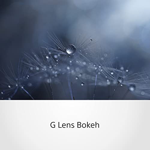 sony-fe-90mm-f2-8-macro-g-oss-sel90m28g-vollformat-tele-makro-objektiv-mit-bilds image 8