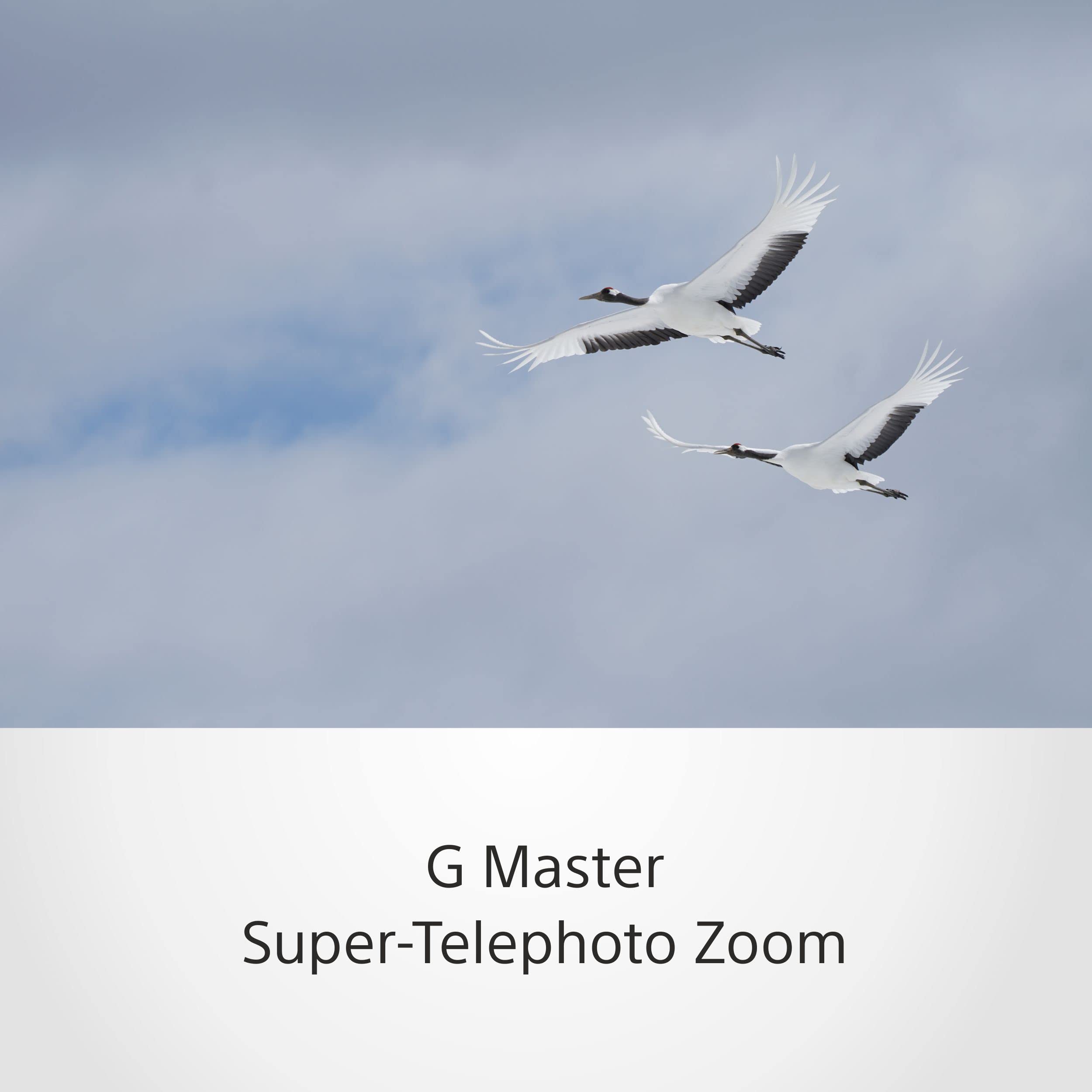 sony-fe-100-400mm-f4-5-5-6-g-master-supertele-zoom-sel100400gm-e-mount-oss-ed-gl image 5
