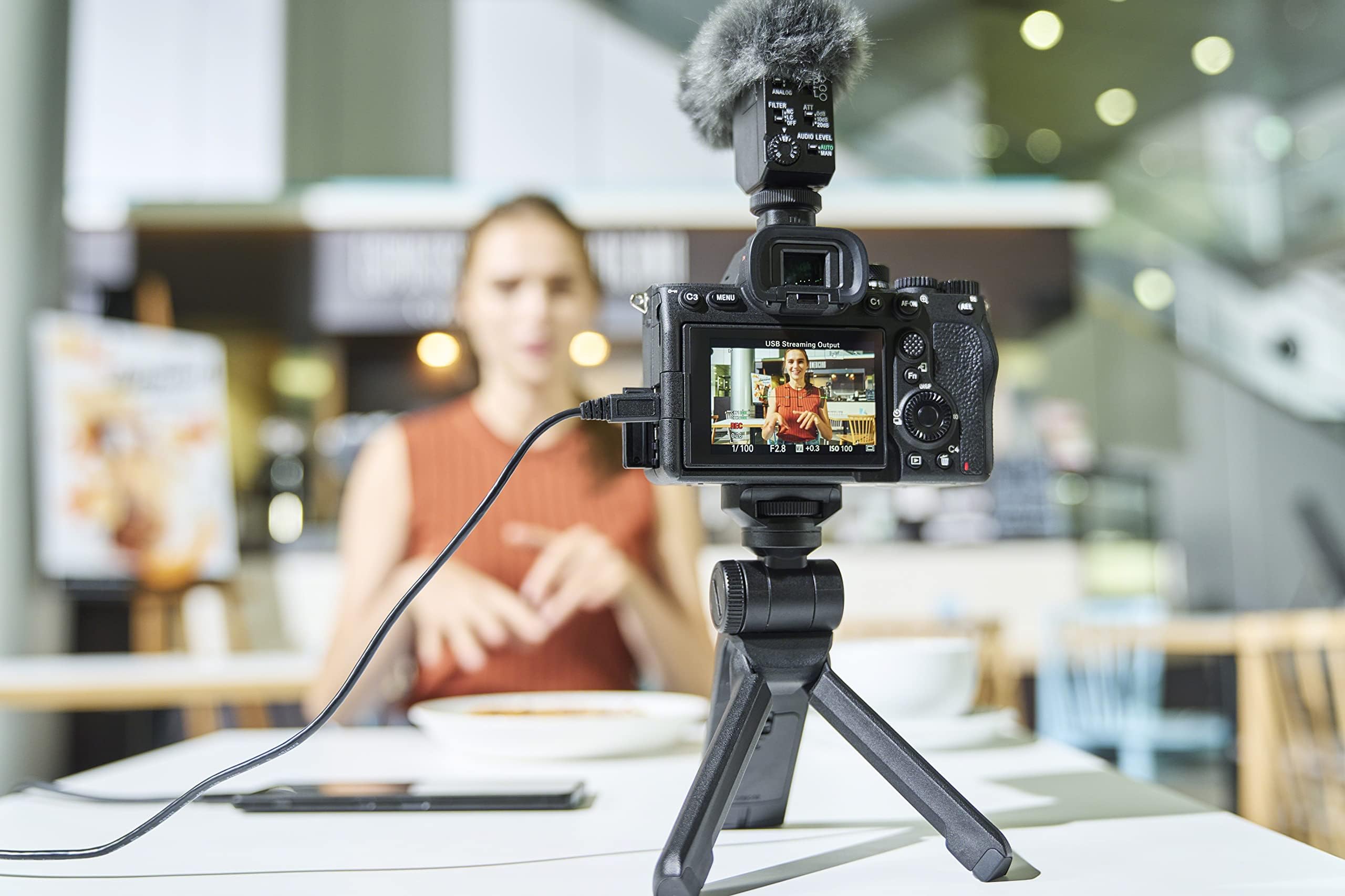 sony-alpha-7-iv-ilce-7m4-vollformat-systemkamera-body-33-mp-echtzeit-af-4k-60p-1 image 4