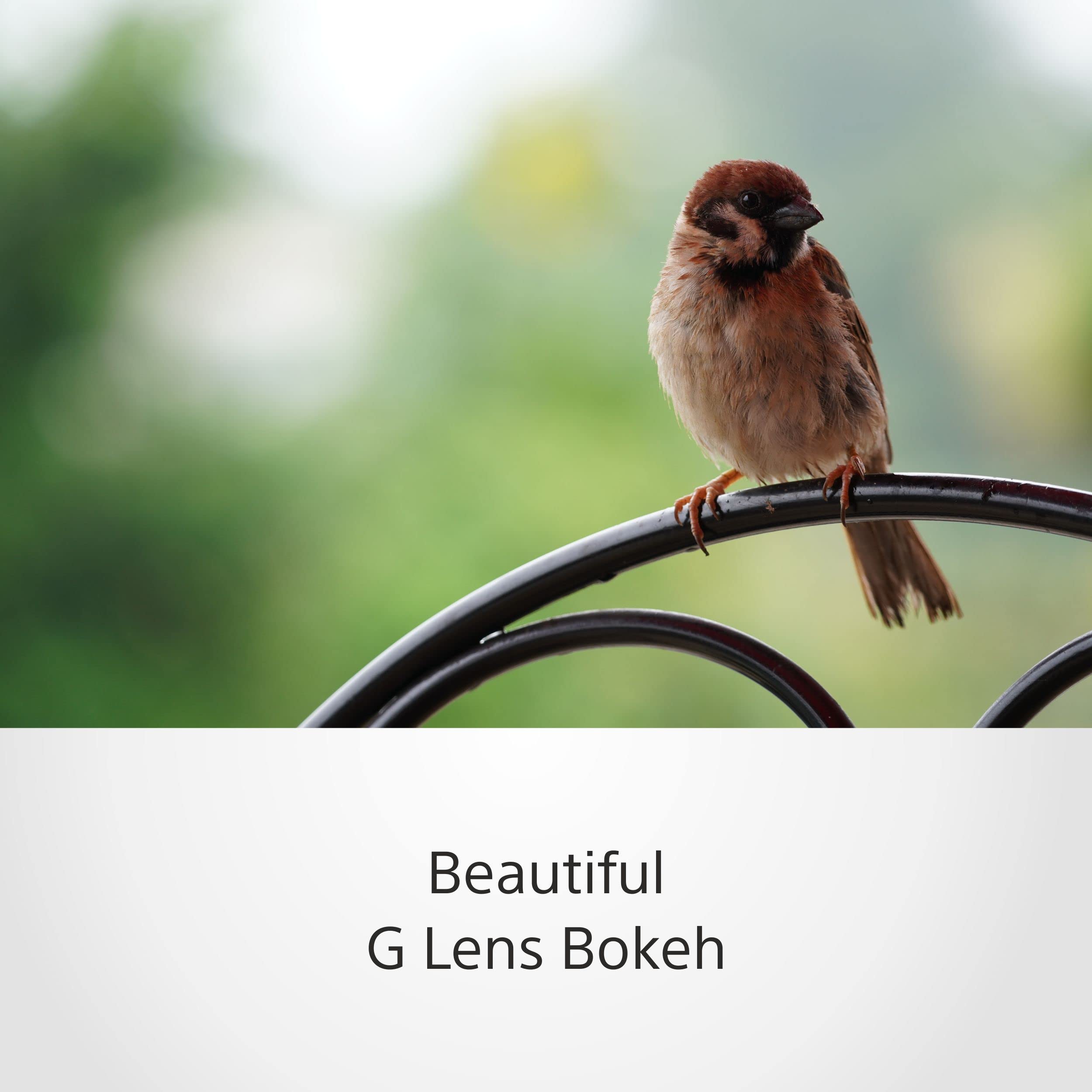sony-sel70350g-70-350mm-f4-5-6-3-g-oss-supertele-zoomobjektiv-f-r-aps-c-e-mount- image 3