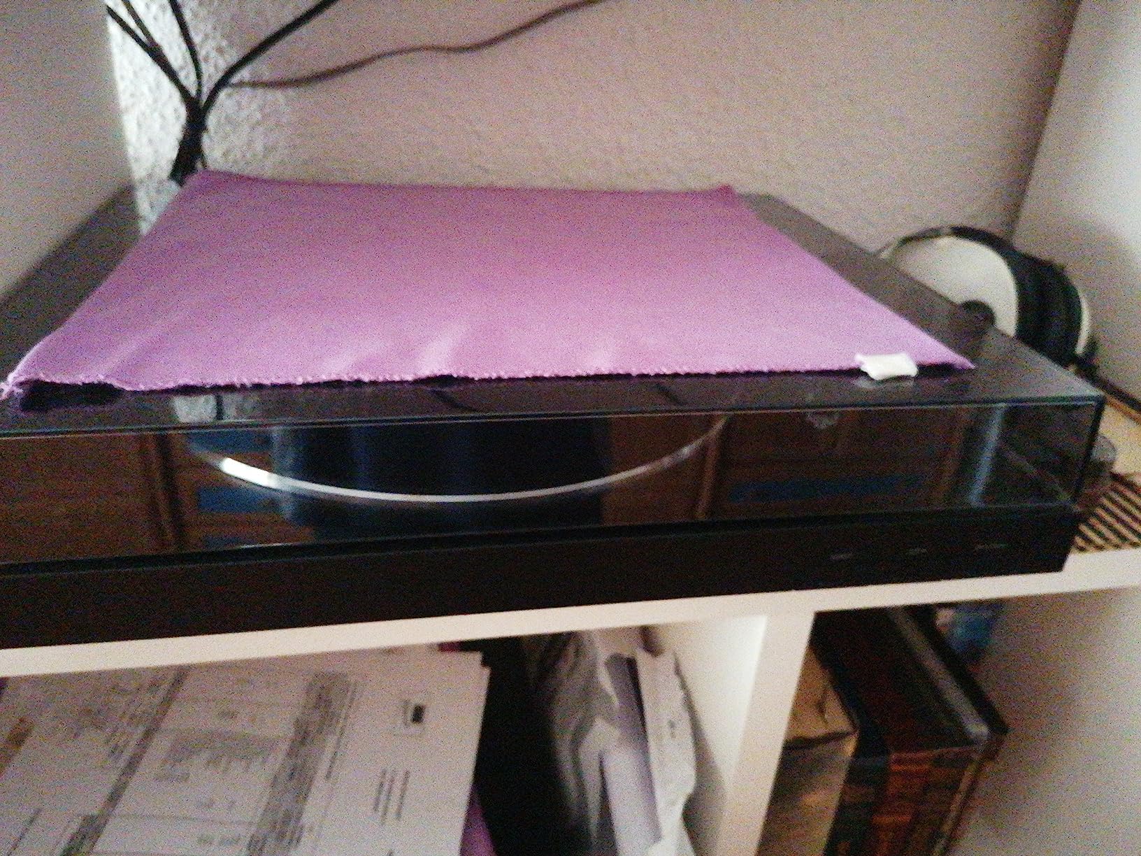 Solider Einstieg ins Vinyl-Hobby