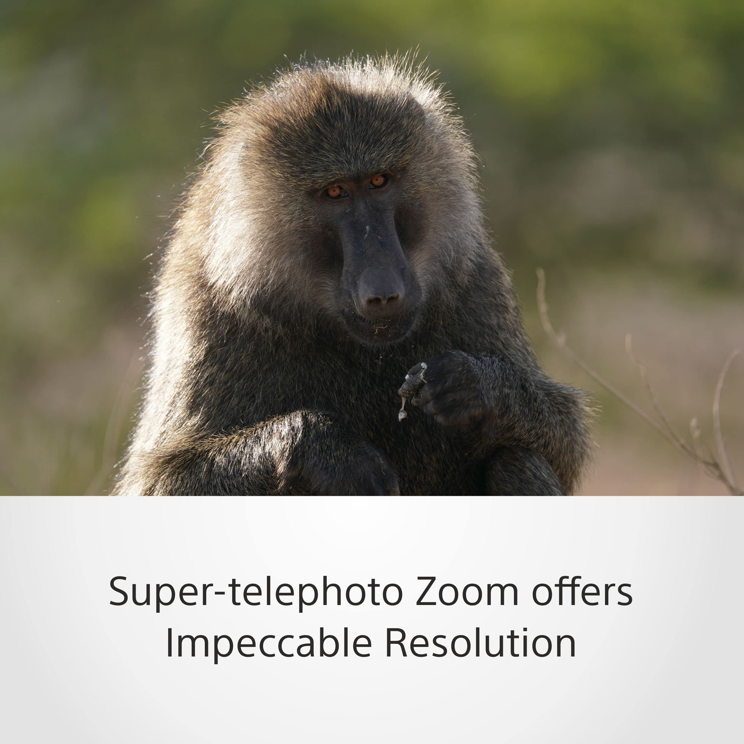 sony-sel200600g-200-600mm-f5-6-6-3-g-super-telezoom-e-mount-vollformat-aps-c-f-r image 3