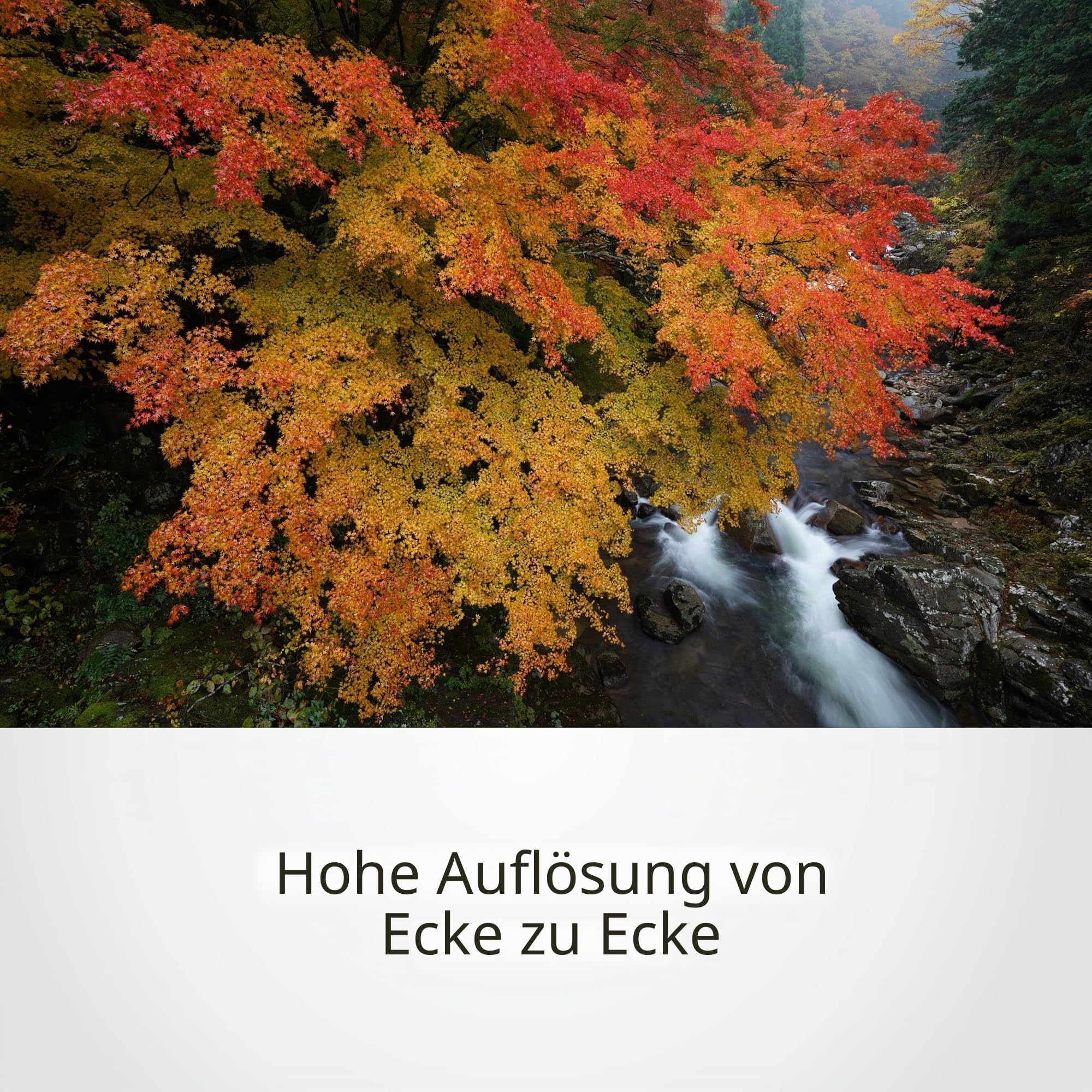 sony-sel1635gm-fe-16-35mm-f2-8-g-master-weitwinkel-zoomobjektiv-gm-i-e-mount-vol image 6