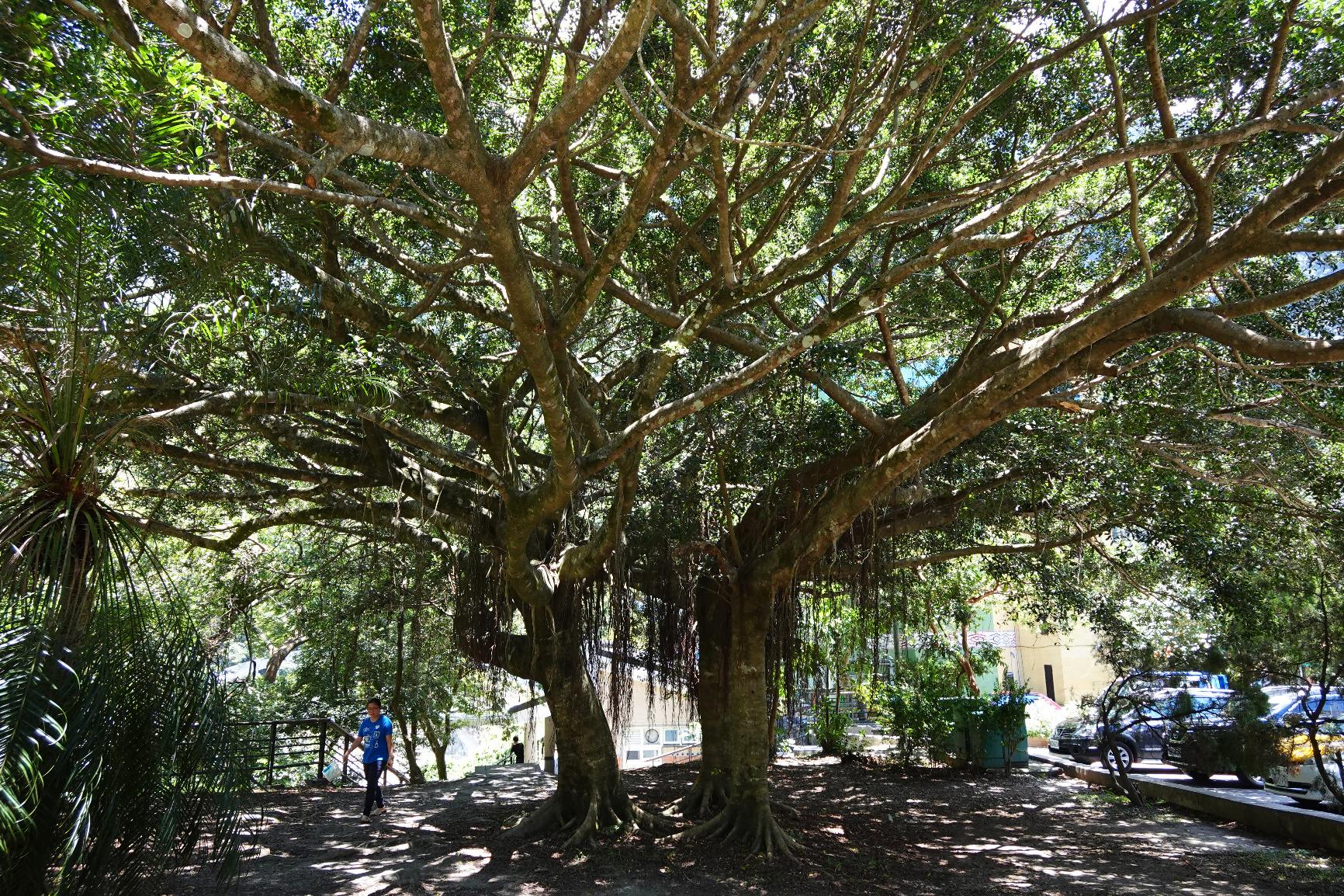 Gut, aber Menüführung gewöhnungsbedürftig