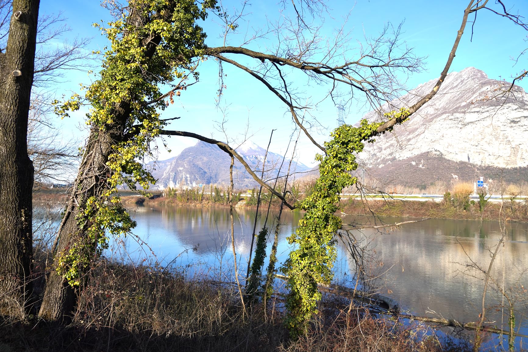 Absoluter Traum in 61 Megapixel